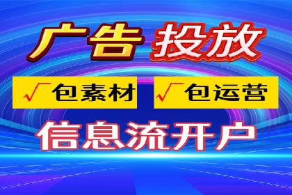 大型企业SEM外包实战案例